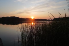 IMG_8476