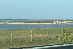 IMG_0039