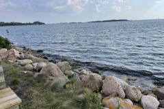 IMG_9590