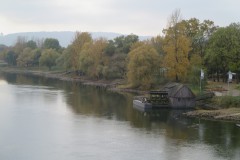 IMG_5471