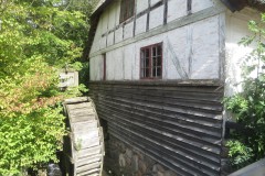 IMG_1561