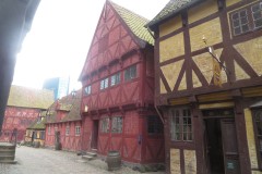 IMG_1593