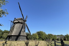 IMG_0723
