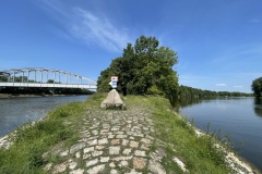IMG_8344