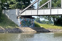 IMG_8355