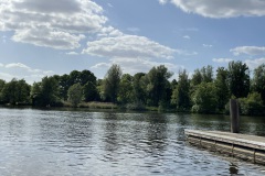 IMG_7484