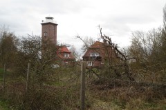 IMG_8220