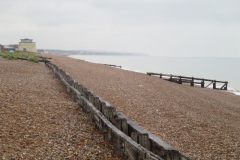 image009