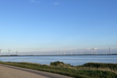 IMG_0896