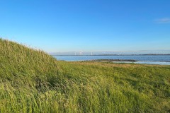 IMG_0907