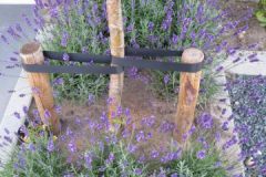image005