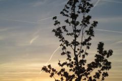 image007