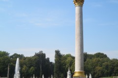 IMG_8526