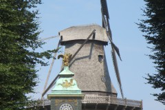 IMG_8534