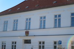 IMG_6557