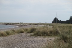 IMG_4985