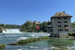IMG_5745