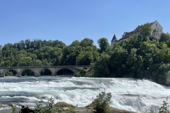 IMG_5773