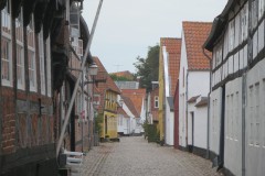 IMG_4475