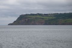image019