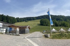 IMG_6385