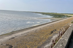 IMG_E3534