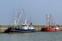 IMG_E3541