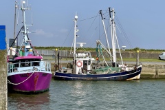 IMG_E3543