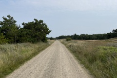 IMG_3578