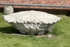 IMG_3629