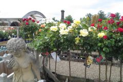 image005