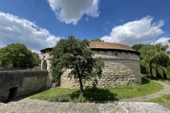 IMG_6935