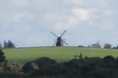 IMG_1317