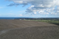 IMG_1339