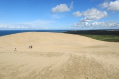 IMG_4810