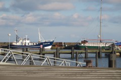 IMG_6461