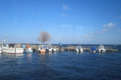 IMG_6251