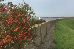 IMG_9752