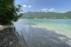 IMG_6245
