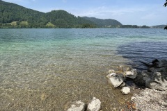 IMG_6251