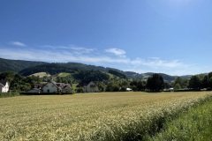 IMG_5656
