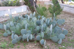 P1040388