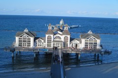IMG_6558