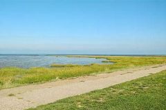 image003
