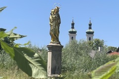 IMG_E6546