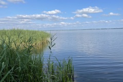 IMG_3861