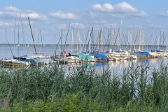 IMG_3864