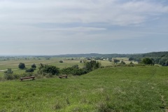 IMG_3412