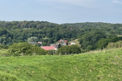 IMG_3413