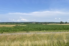 IMG_3421